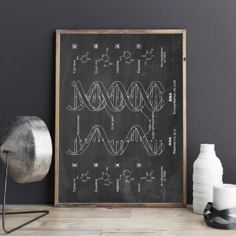 Star Map Poster - DNA 特許壁アート遺伝学ポスタープリント生物学壁装飾ヴィンテージ青写真プリント医学生ギフト科学装飾