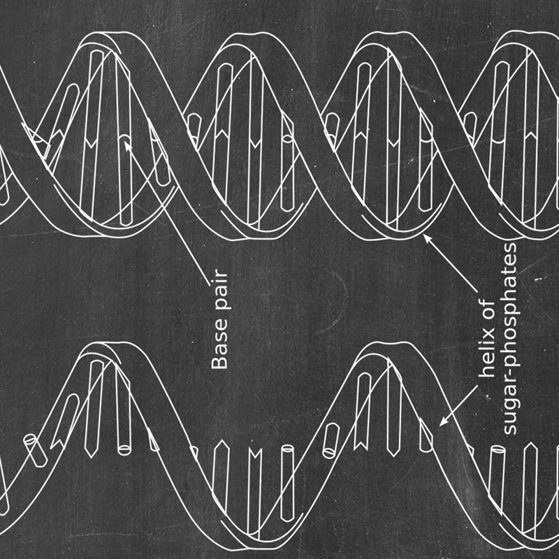 DNA 特許壁アート遺伝学ポスタープリント生物学壁装飾ヴィン - Star Map Poster のレビューと価格
