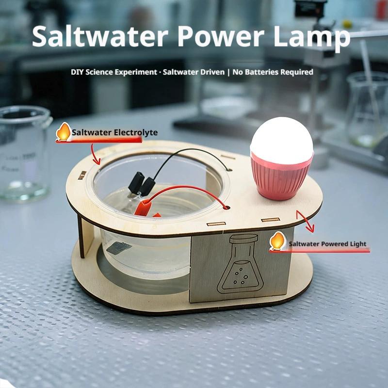 DIY塩水発電LEDライト STEM教育科学キット 電気化学 - Science Kit のレビューと価格